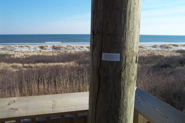 Implementation sticker in Brigantine New Jersey