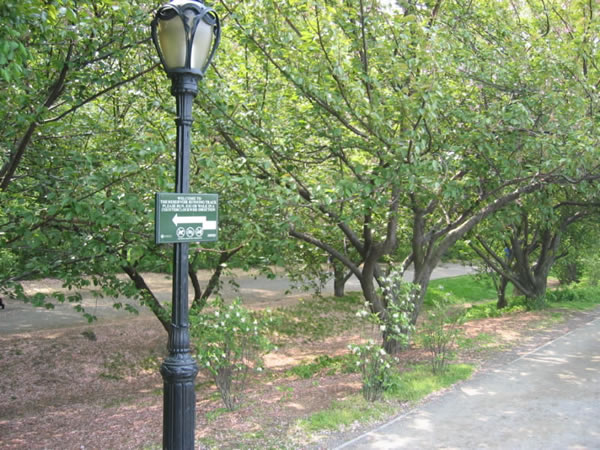 Implementation sticker in New York