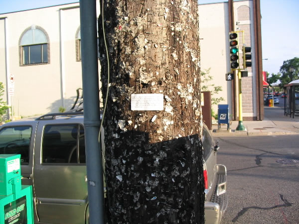 Implementation sticker in Minneapolis