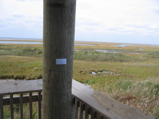 Implementation sticker in Brigantine New Jersey