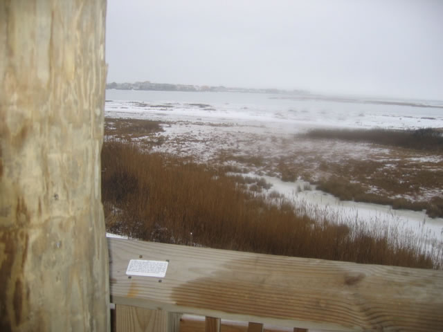 Implementation sticker in Brigantine New Jersey